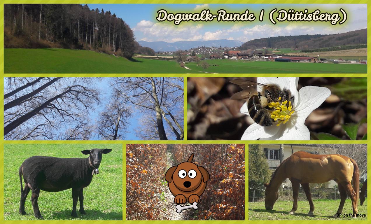 Dogwalk-Runde I (Düttisberg)