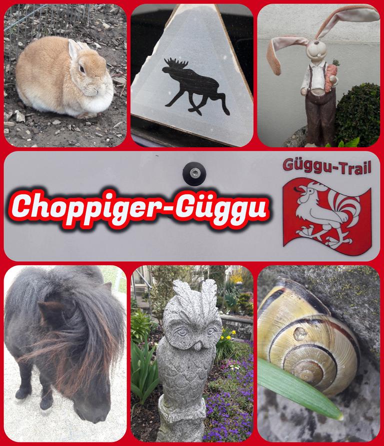 Choppiger-Güggu
