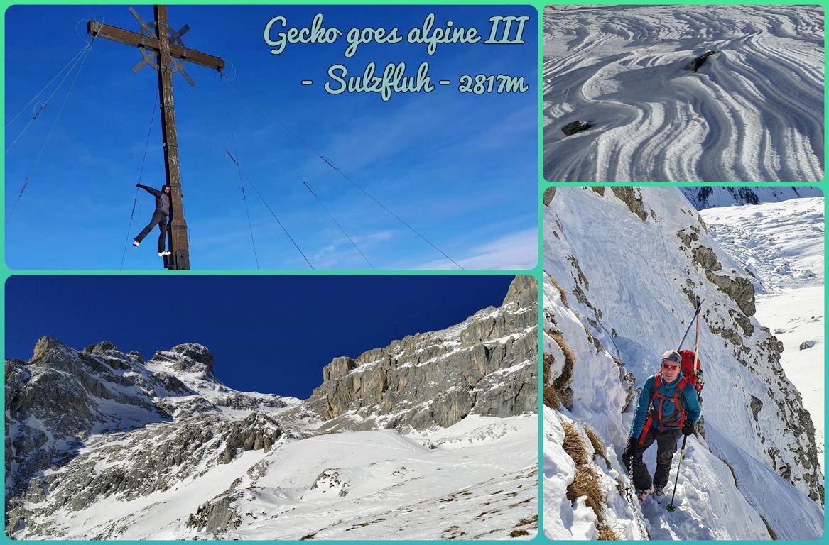 Gecko-goes-alpine-III-Sulzfluh-2817m