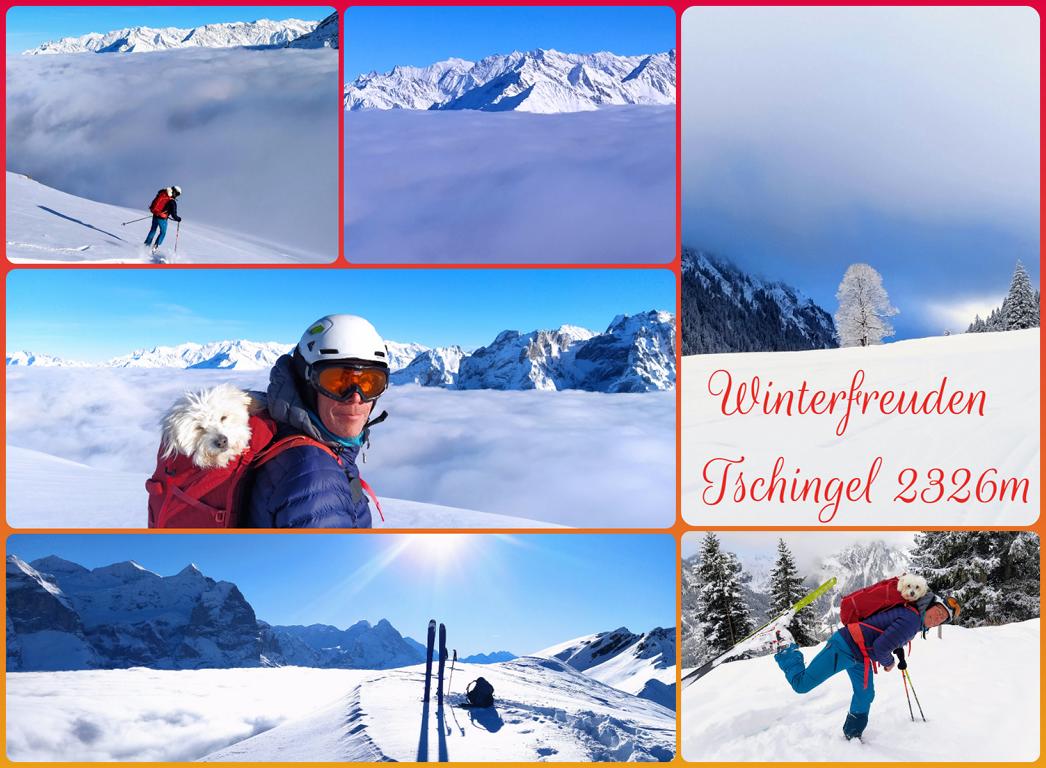 Winterfreuden-Tschingel-2326m
